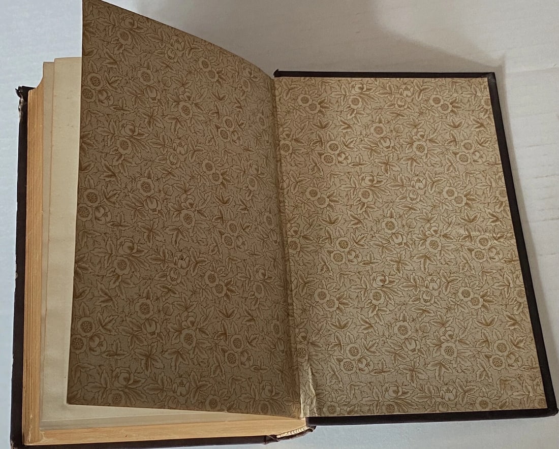 Sir Edward Bulwer Lytton What Will He Do With It 1st Edition Thus HC Very Good - 10