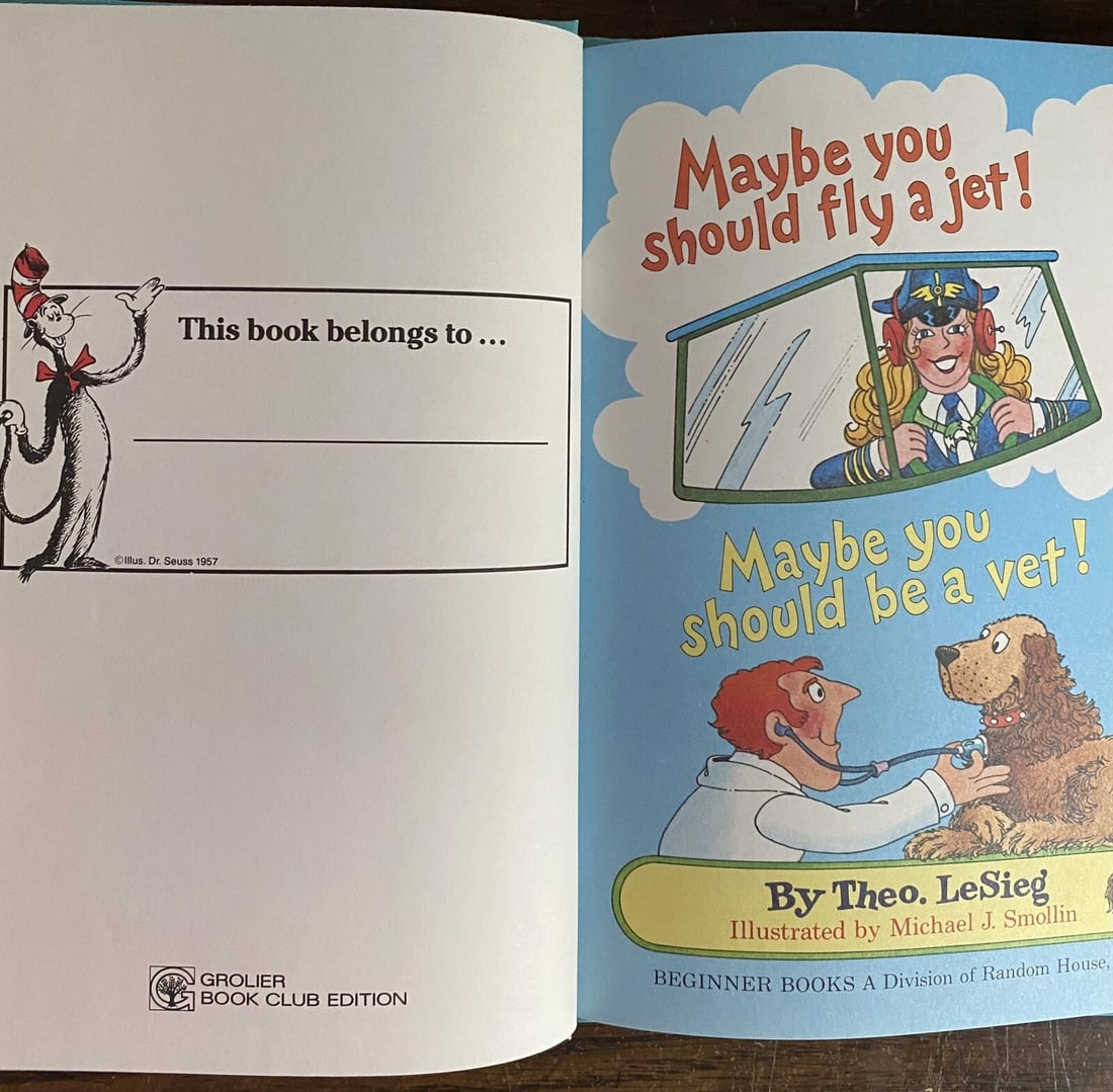 Maybe You Should Fly A Jet! Theo LeSieg, 1st Edition 2nd Print 1980 Near Fine HC - 4