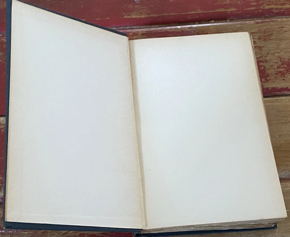 Mark Twain Literary Essays Author's National Edition Vol XXII, HC 1899 Illustrat - 9