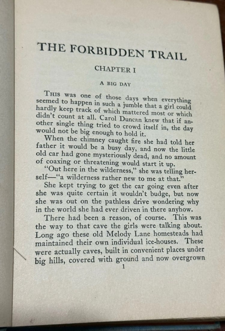 The Forbidden Trail Lilian Garis 1933 1st Ed. Mystery HC Good Condition Grosset - 12