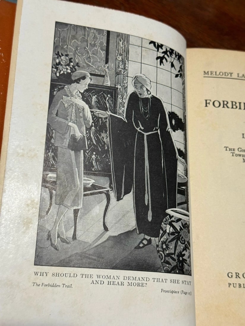 The Forbidden Trail Lilian Garis 1933 1st Ed. Mystery HC Good Condition Grosset - 5