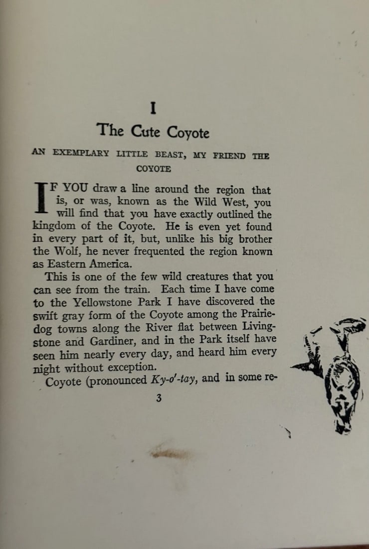 Wild Animals at Home (Hardcover) by Ernest Thompson Seton 1913 First Edition - 11