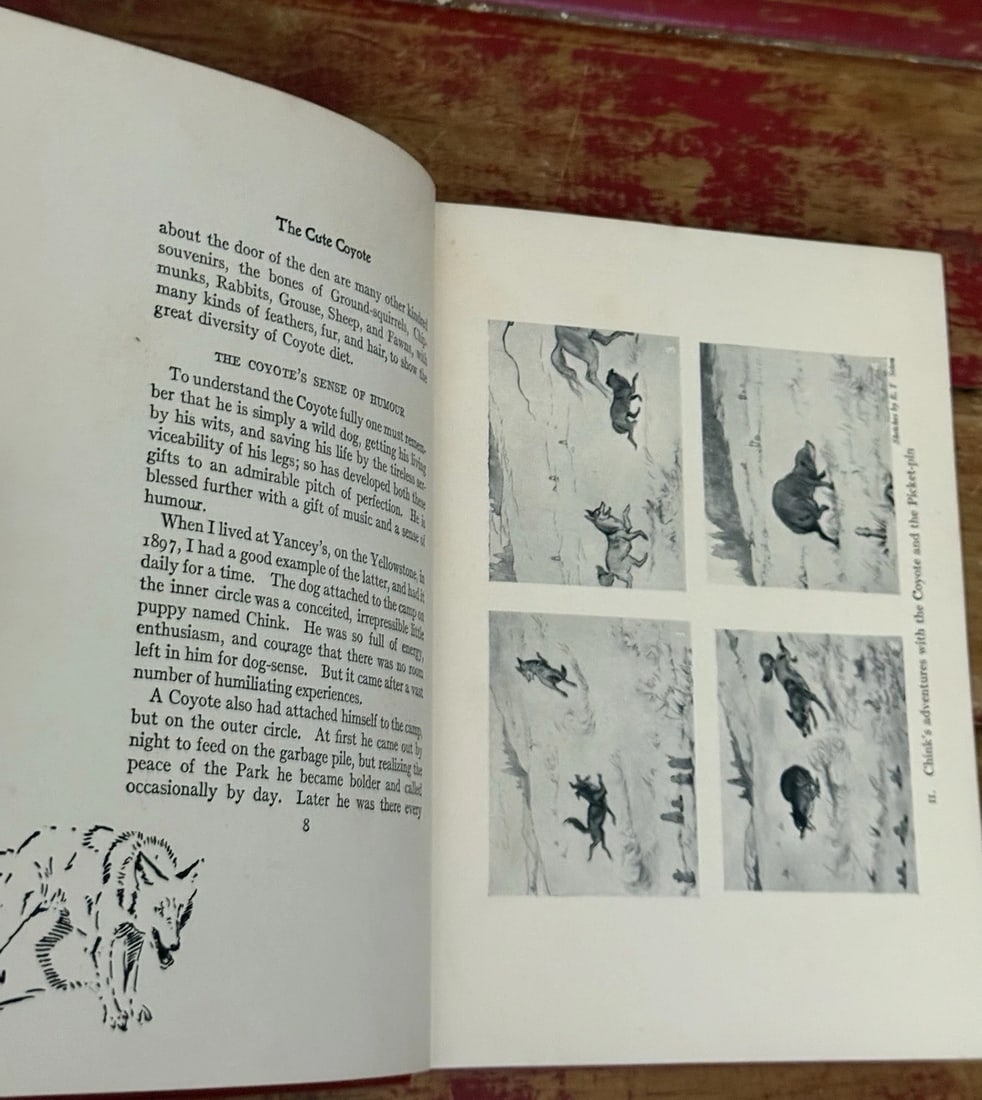 Wild Animals at Home (Hardcover) by Ernest Thompson Seton 1913 First Edition - 13