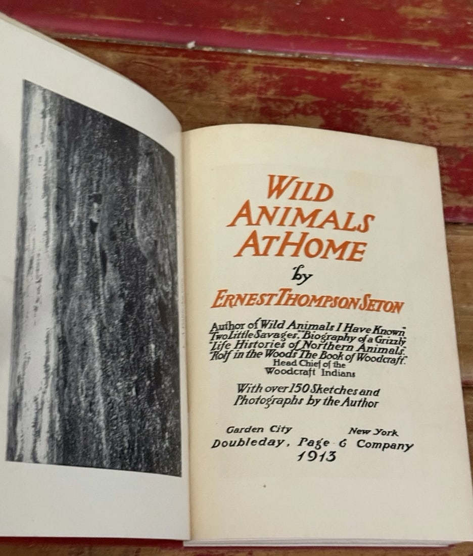 Wild Animals at Home (Hardcover) by Ernest Thompson Seton 1913 First Edition - 7
