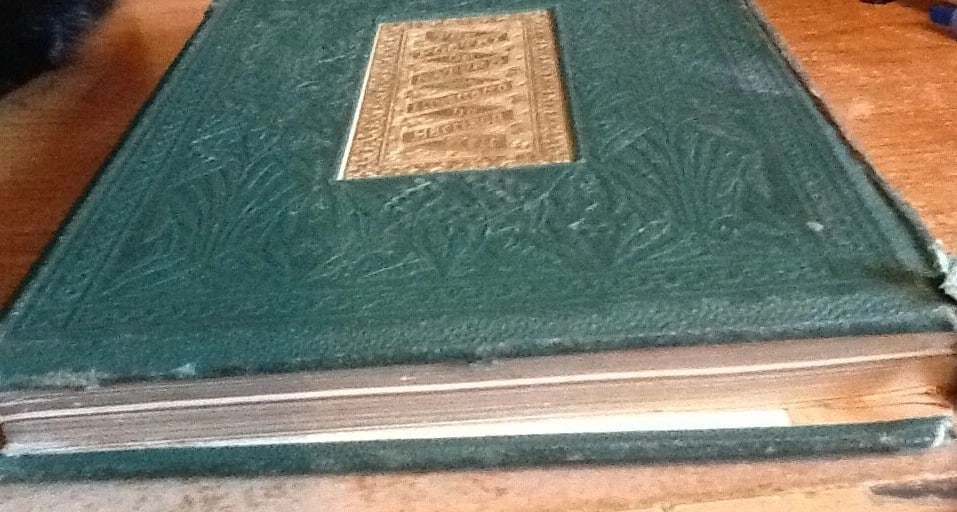 THE POETRY OF NATURE ILLUSTRATED Harrison Weir Antique London Sampson Low1861 HC - 12