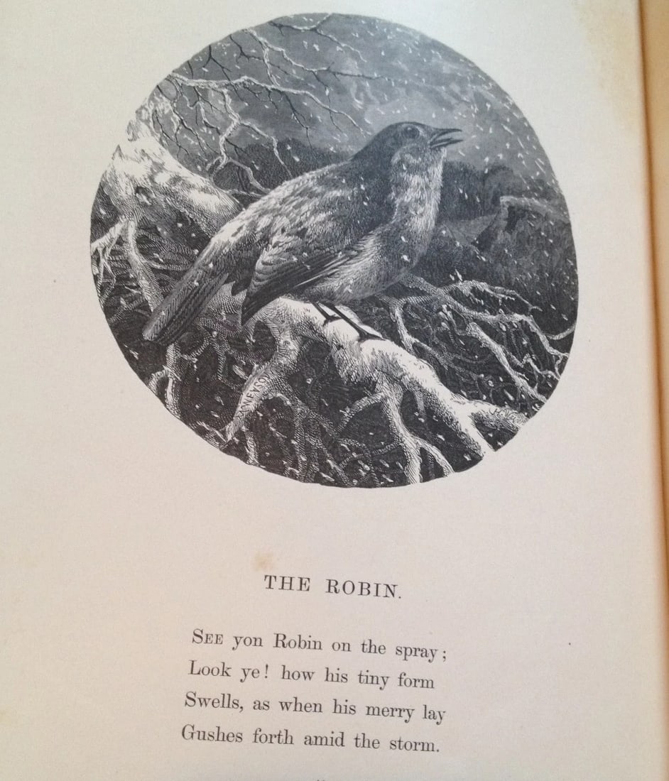 THE POETRY OF NATURE ILLUSTRATED Harrison Weir Antique London Sampson Low1861 HC - 2