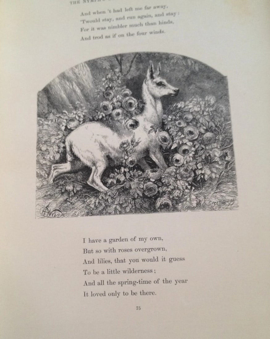 THE POETRY OF NATURE ILLUSTRATED Harrison Weir Antique London Sampson Low1861 HC - 3