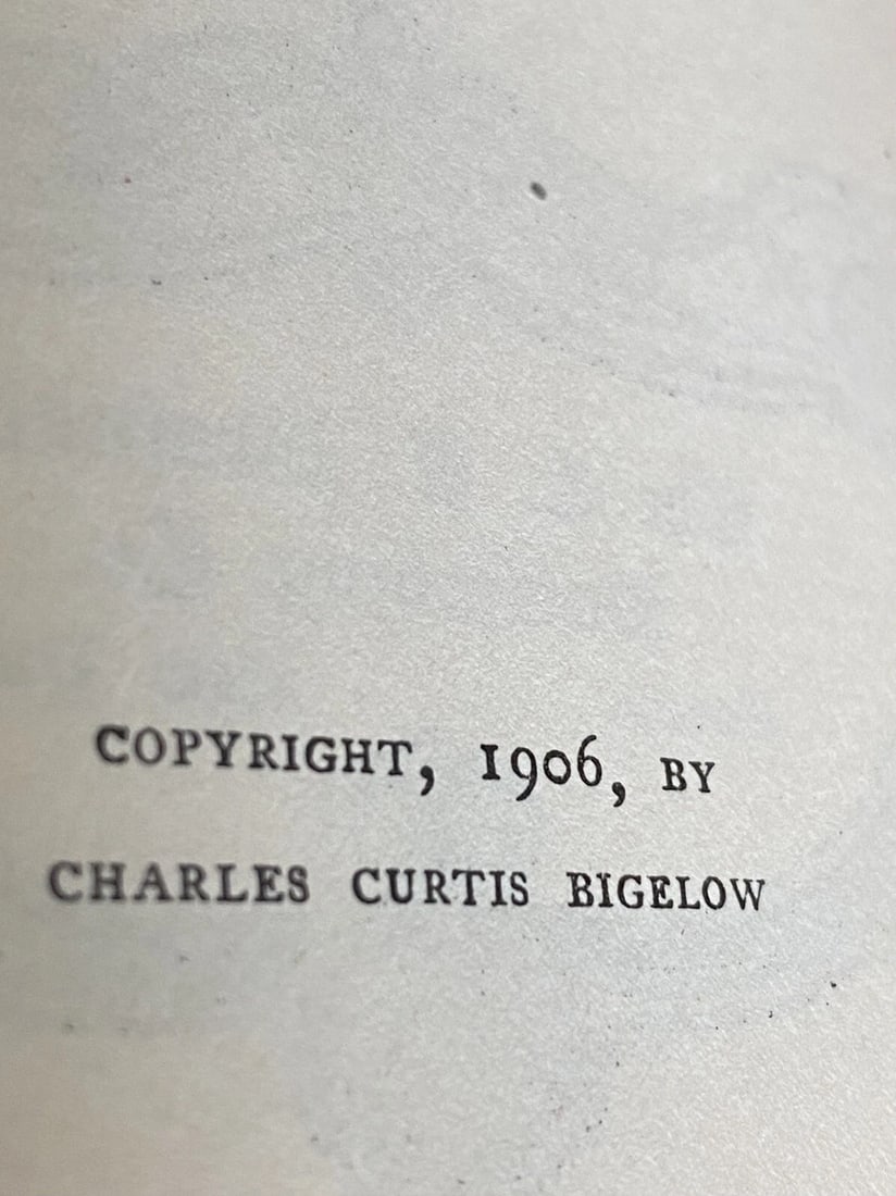 Robert L. Stevenson DeLuxe Ltd.Ed. Treasure Island, Kidnapped C.T.Brainard 1906 - 6