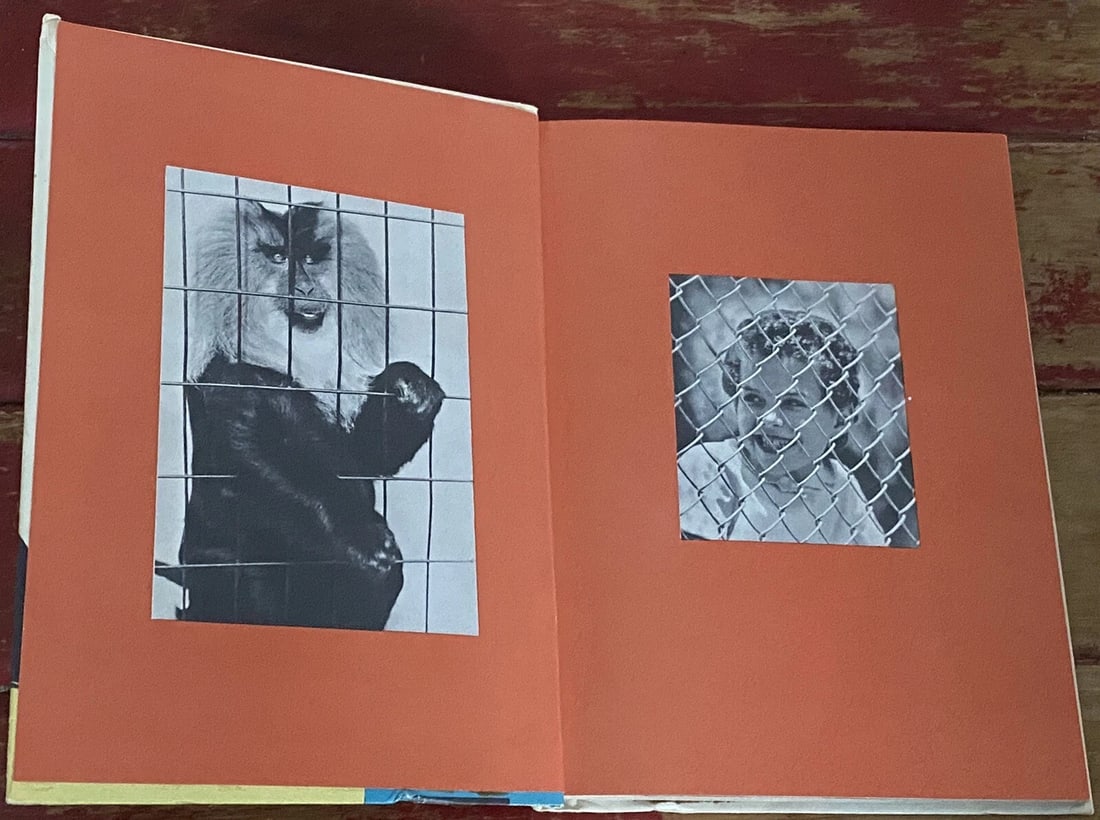 I Was Kissed By A Seal At The Zoo Dr. Seuss 1st Ed. Helen Palmer 1962 HC BC Ed. - 6