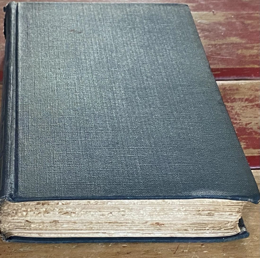 Mark Twain Roughing It Author's National Edition Vol. VIII Book II 1913 HC Illus - 11