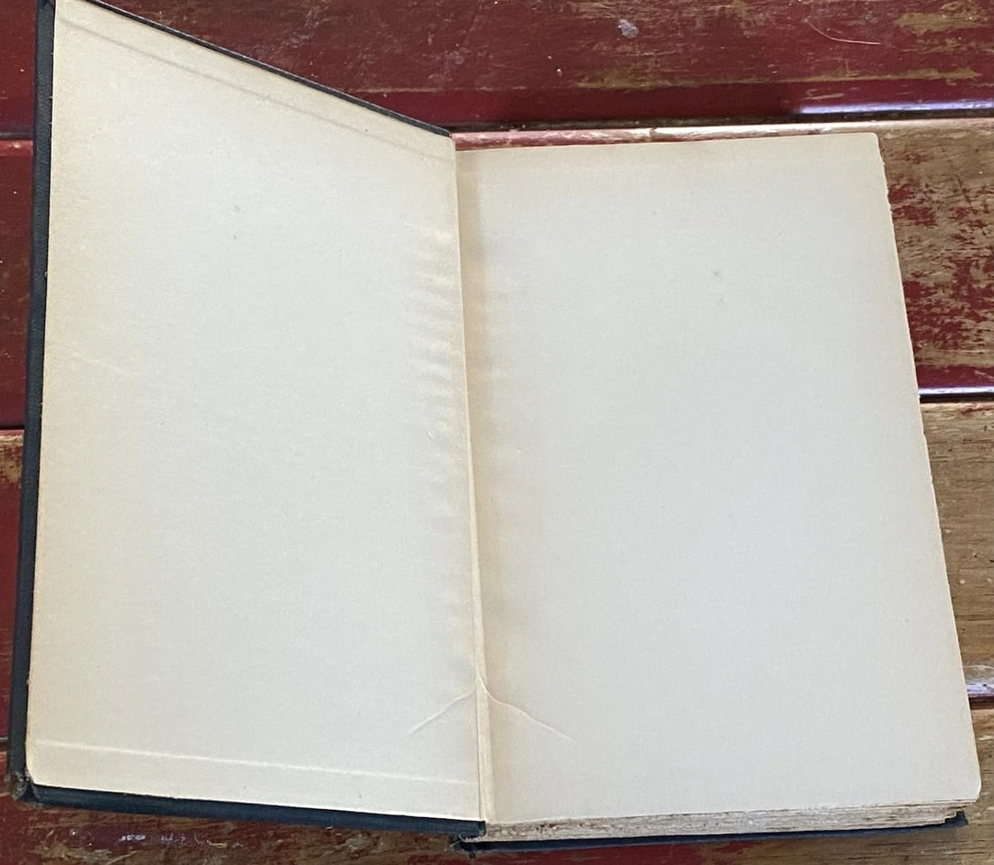 Mark Twain Roughing It Author's National Edition Vol. VIII Book II 1913 HC Illus - 12