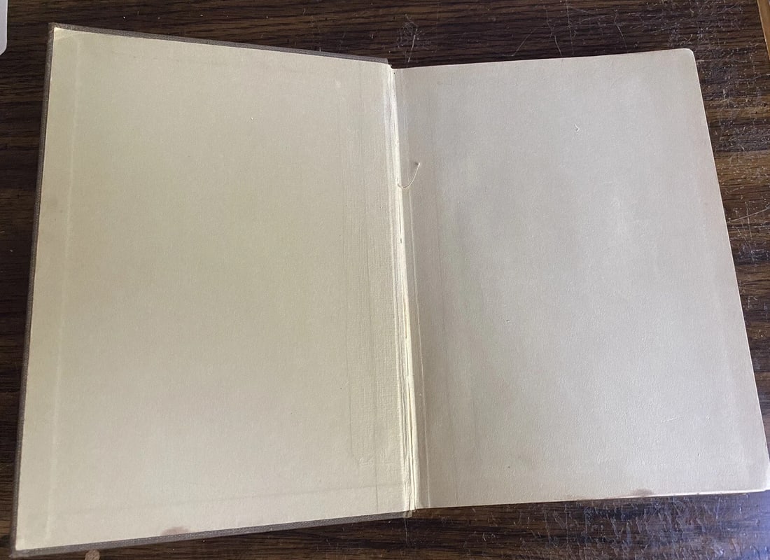 1923 Story Hour Readers Revised Primer Children's Book Coe & Christie Illust1923 - 12