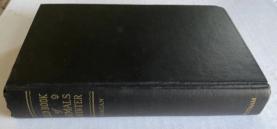 Field Book of Animals in Winter Ann Haven Morgan VTG HC 1st/2nd Putnam VG/Near F - 10
