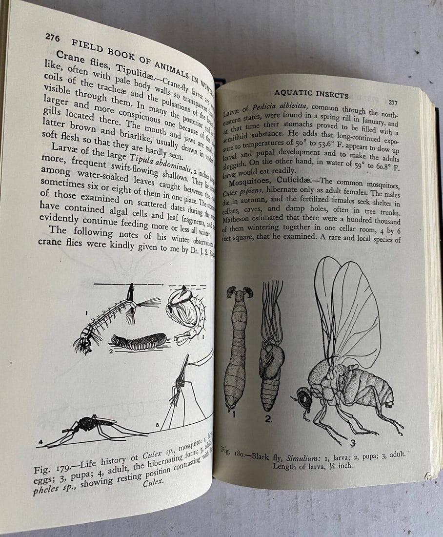 Field Book of Animals in Winter Ann Haven Morgan VTG HC 1st/2nd Putnam VG/Near F - 8