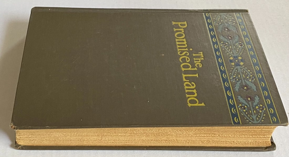 The Promised Land Vol 2 1927 Alfred Knopf Ladislas Reymont HC Very Good - 13
