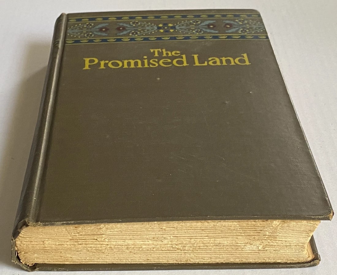 The Promised Land Vol 2 1927 Alfred Knopf Ladislas Reymont HC Very Good - 14