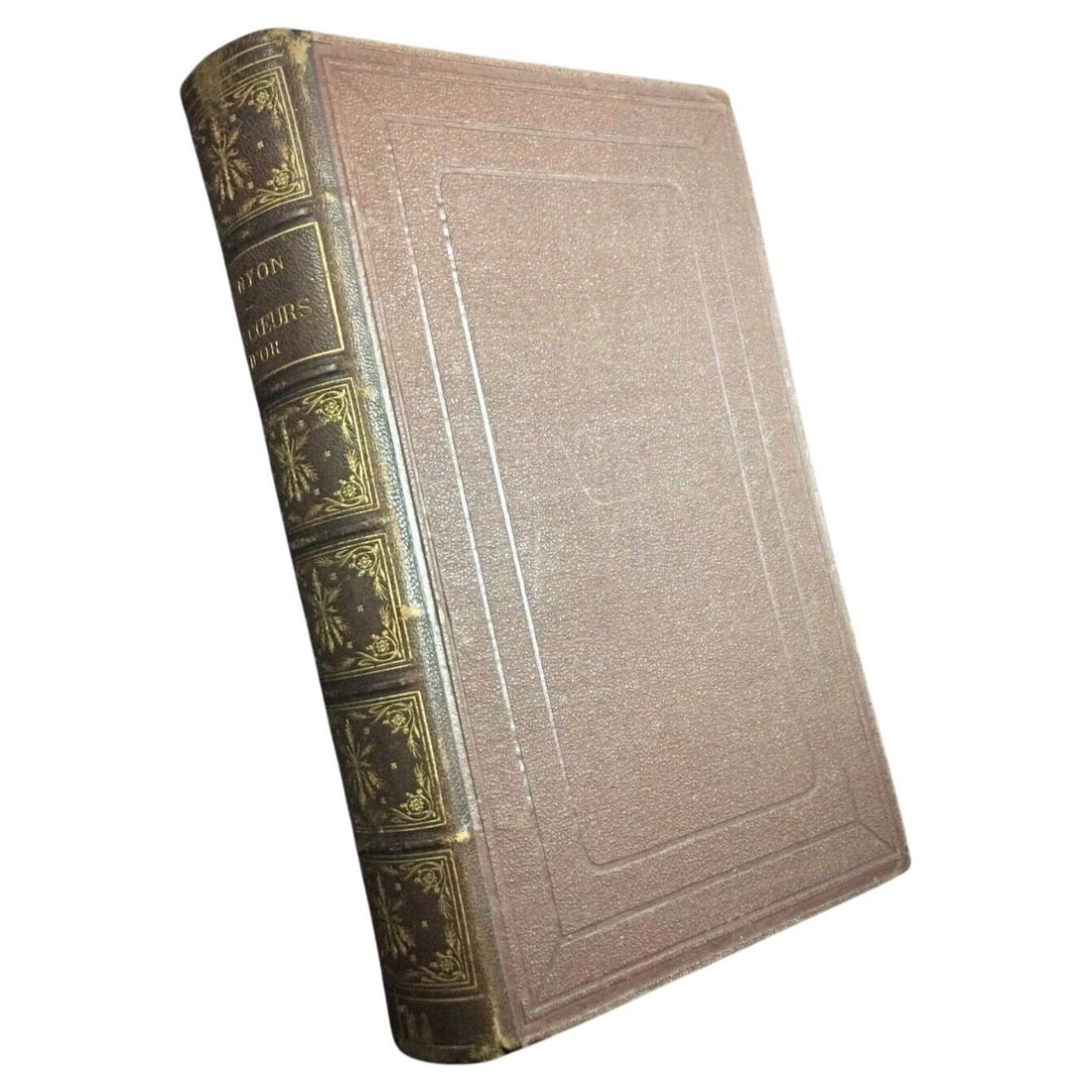 Book by Eugène Nyon: "Les Cœurs d'Or" - Illustrated with 16 Drawings (1 of 9)