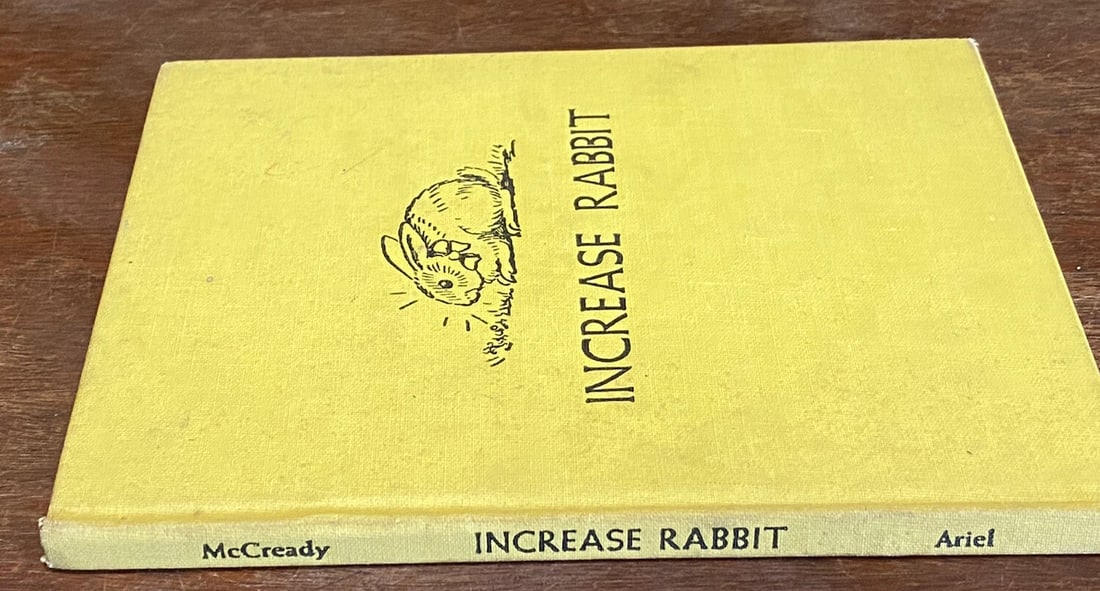 T L McCready, Jr. INCREASE RABBIT 1st Edition 1958 HC Illustrations Tasha Tudor - 5