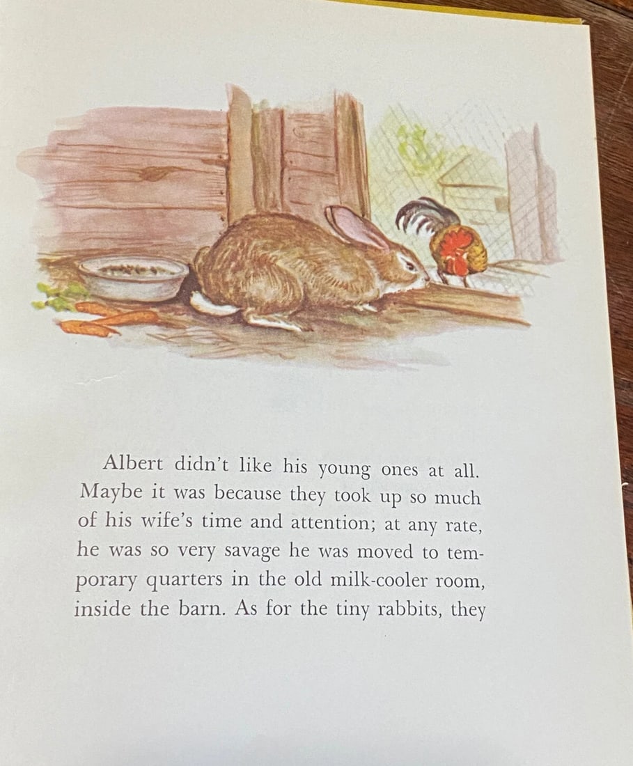 T L McCready, Jr. INCREASE RABBIT 1st Edition 1958 HC Illustrations Tasha Tudor - 8