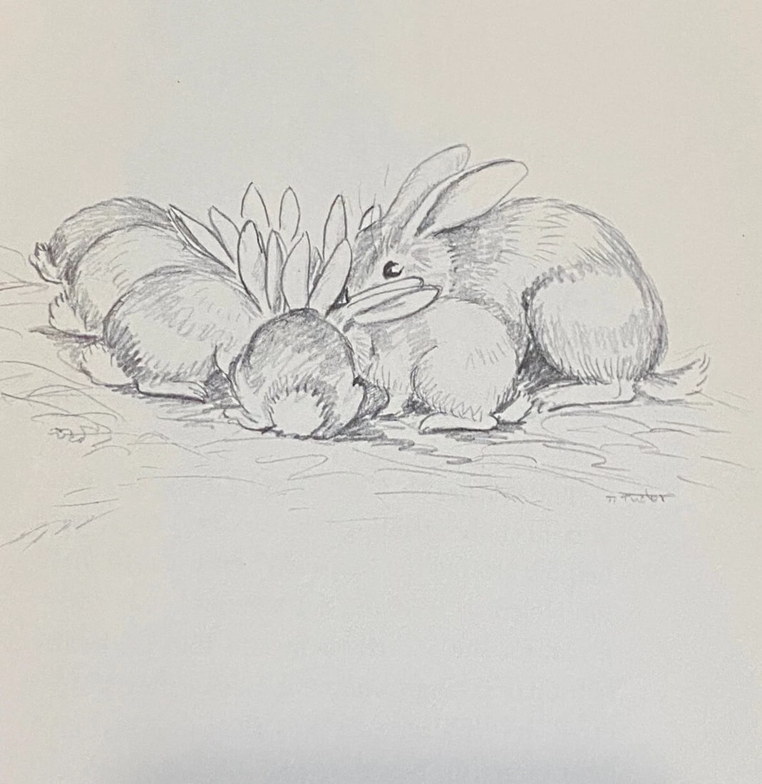 T L McCready, Jr. INCREASE RABBIT 1st Edition 1958 HC Illustrations Tasha Tudor - 9