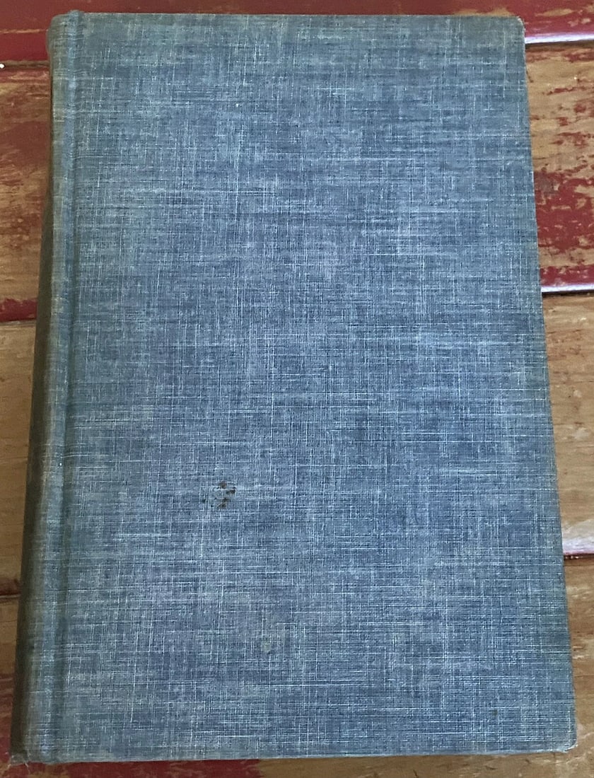 THE STRANGE CAREER of MR. HOOVER UNDER TWO FLAGS 1931 1st/9th HC IllustVery Good - 15