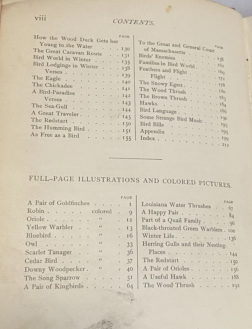 BIRD WORLD Stickney & Hoffmann 1st Ed. 1898HC Ginn & Co. ForChildren Illustrated - 10