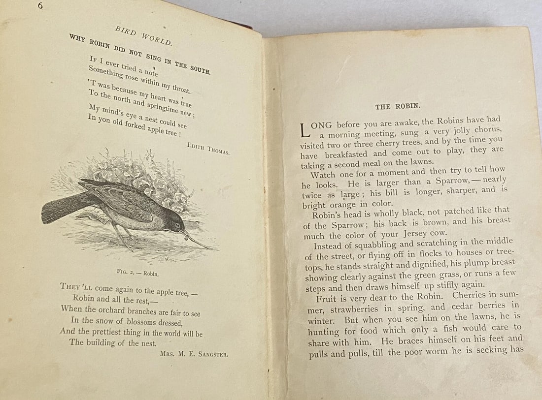 BIRD WORLD Stickney & Hoffmann 1st Ed. 1898HC Ginn & Co. ForChildren Illustrated - 13