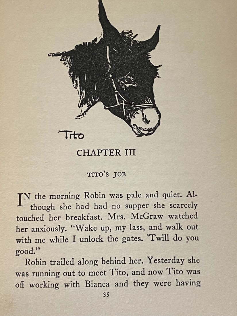 Robin and Tito Mabel L. Robinson 1930 Children’s Antique Book First Ed/Print GC - 7