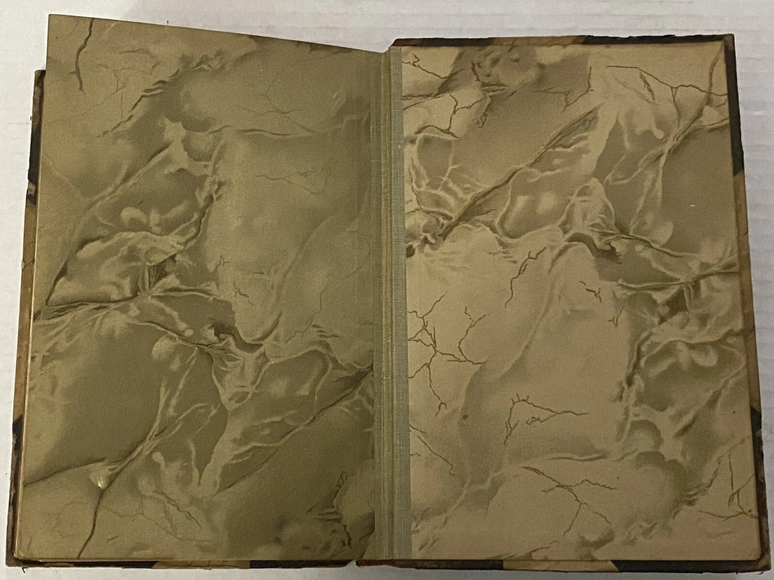 Robert L. Stevenson DeLuxe Ltd.Ed. 1,000 Familiar Studies VolX C.T.Brainard 1906 - 14