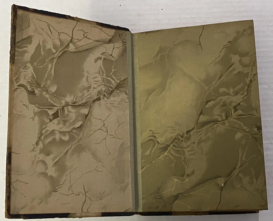 Robert L. Stevenson DeLuxe Ltd.Ed. 1,000 Familiar Studies VolX C.T.Brainard 1906 - 7