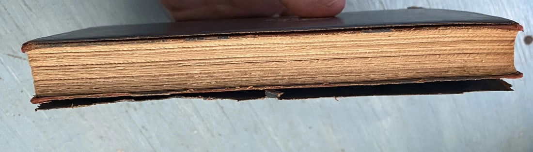 Antique Book Balthasar by Anatole France Blue Leather 1924 Dodd Mead & Co. RARE - 10