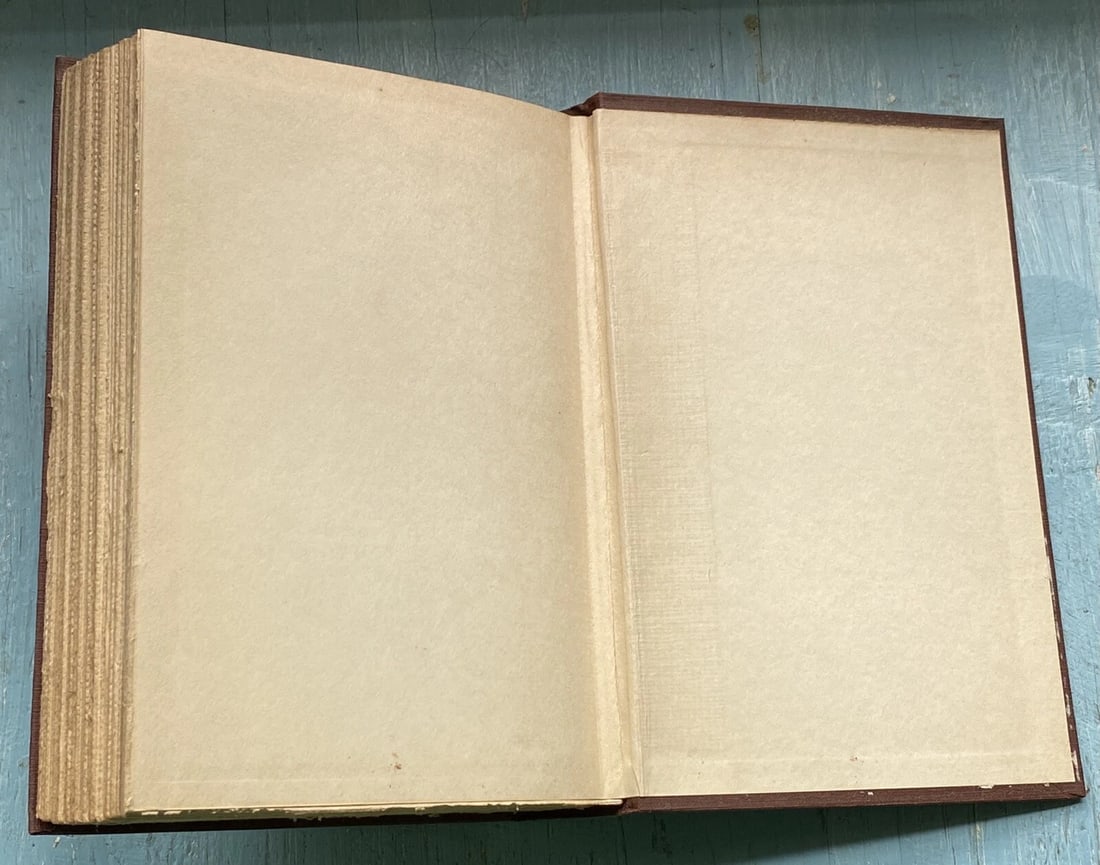 James Branch Cabell The Cords Of Vanity McBride 1st Ed./4th Printing HC 1924 VG - 12