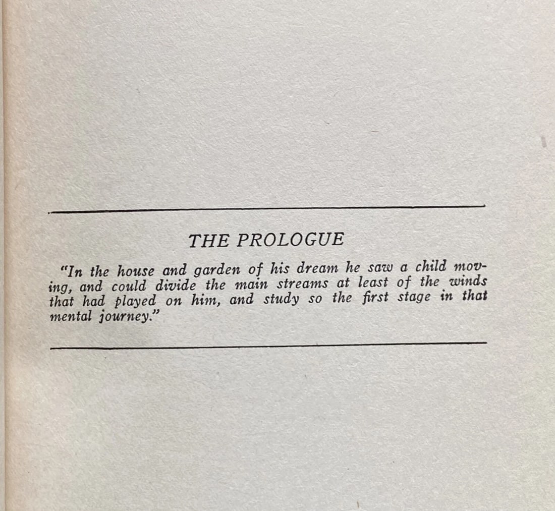 James Branch Cabell The Cords Of Vanity McBride 1st Ed./4th Printing HC 1924 VG - 9