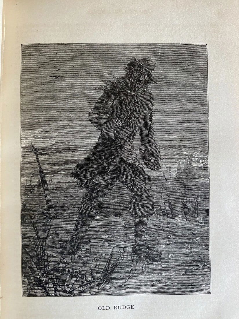 Dickens' Works Illustrated Barnaby Rudge, Hard Times 1875 HC James R.Osgood Ill. - 7