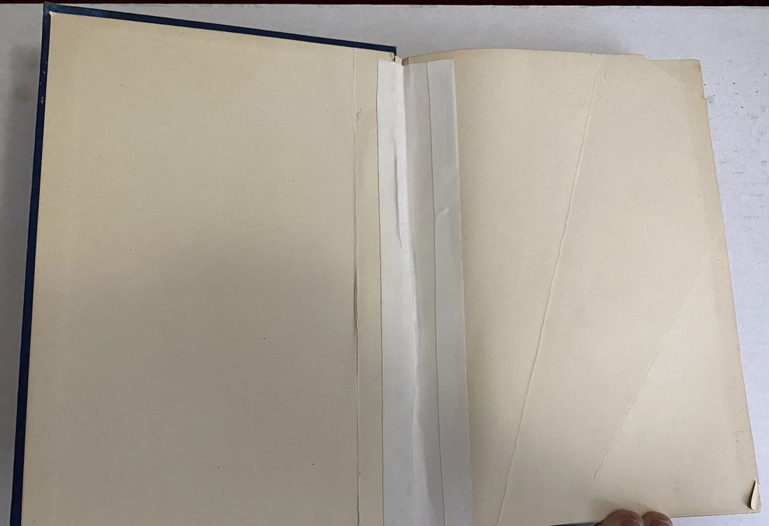 Victor Hugo’s Novels Notre Dame Vol. II Illustrated 1887 Library Edition HC Good - 14