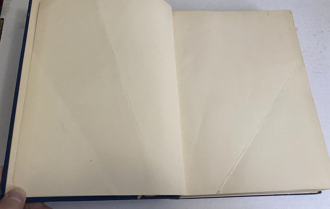 Victor Hugo’s Novels Notre Dame Vol. II Illustrated 1887 Library Edition HC Good - 15