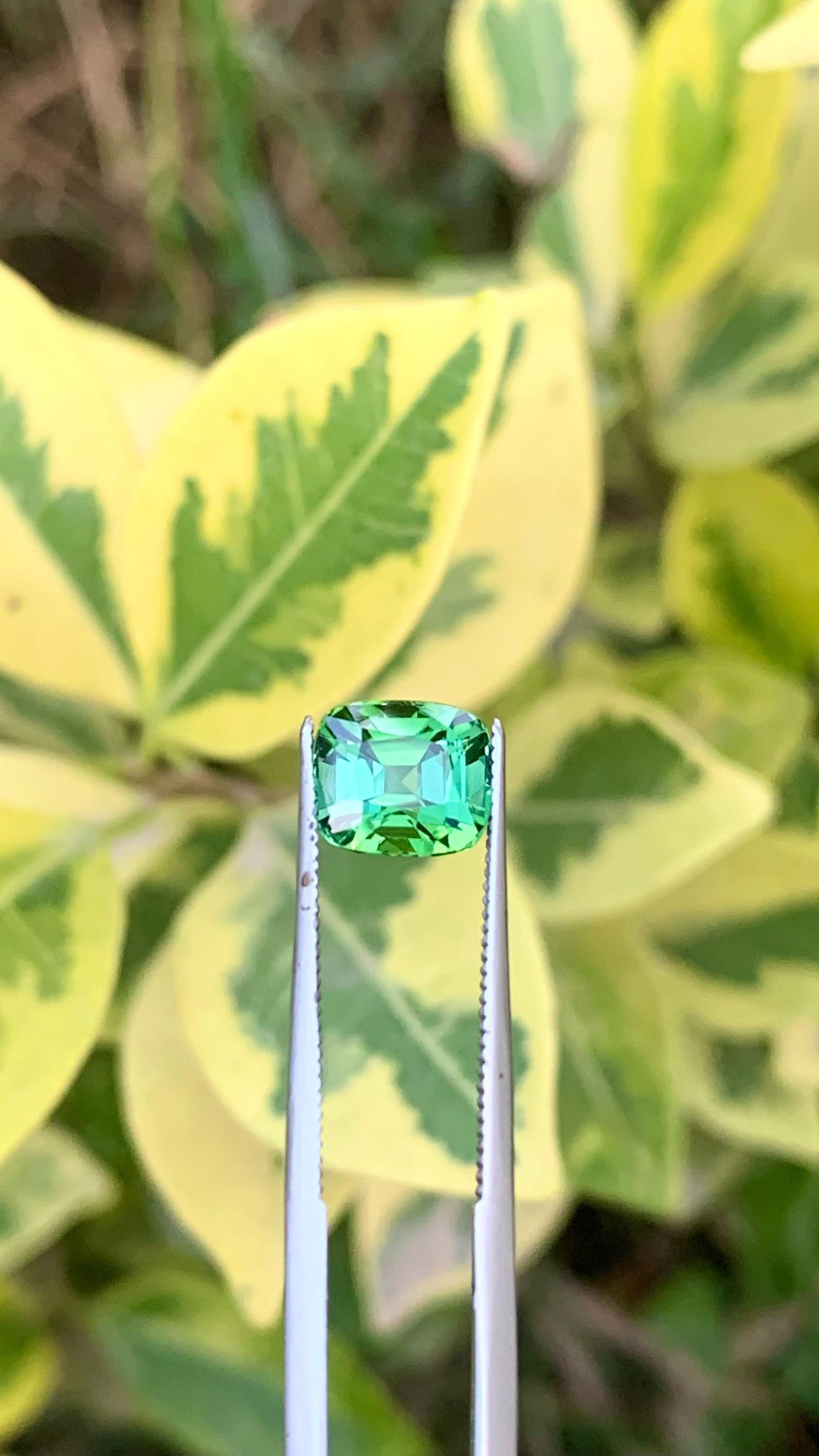 Natural Mint Green Tourmaline Cushion Cut Gemstone For Ring - 2.110 Carat - 12