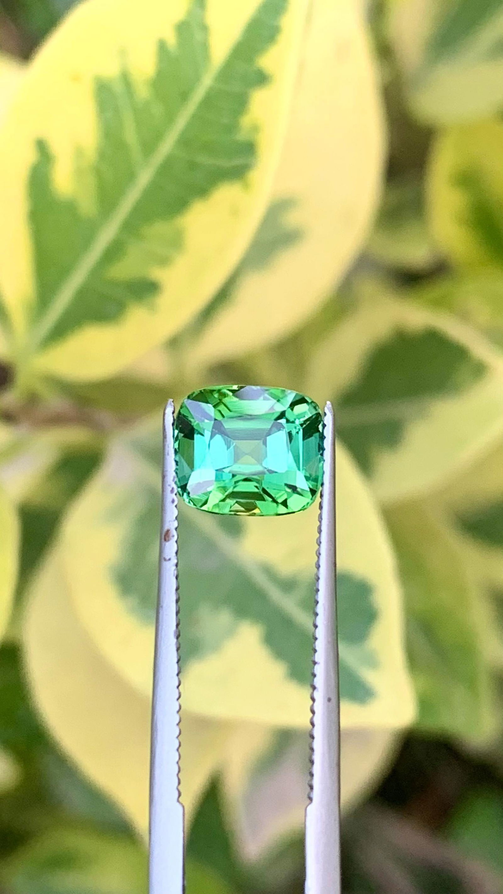 Natural Mint Green Tourmaline Cushion Cut Gemstone For Ring - 2.110 Carat - 16