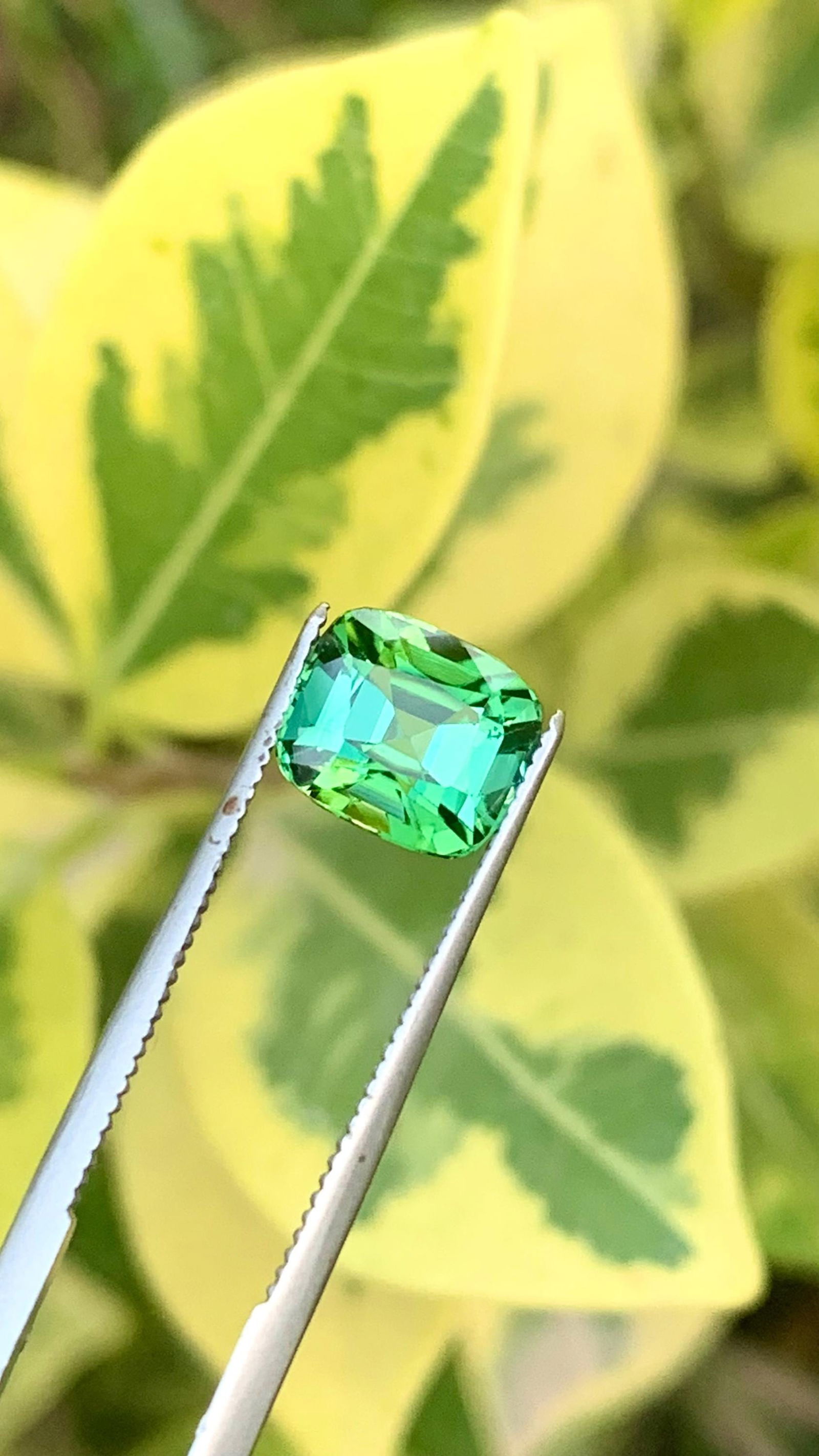 Natural Mint Green Tourmaline Cushion Cut Gemstone For Ring - 2.110 Carat - 17