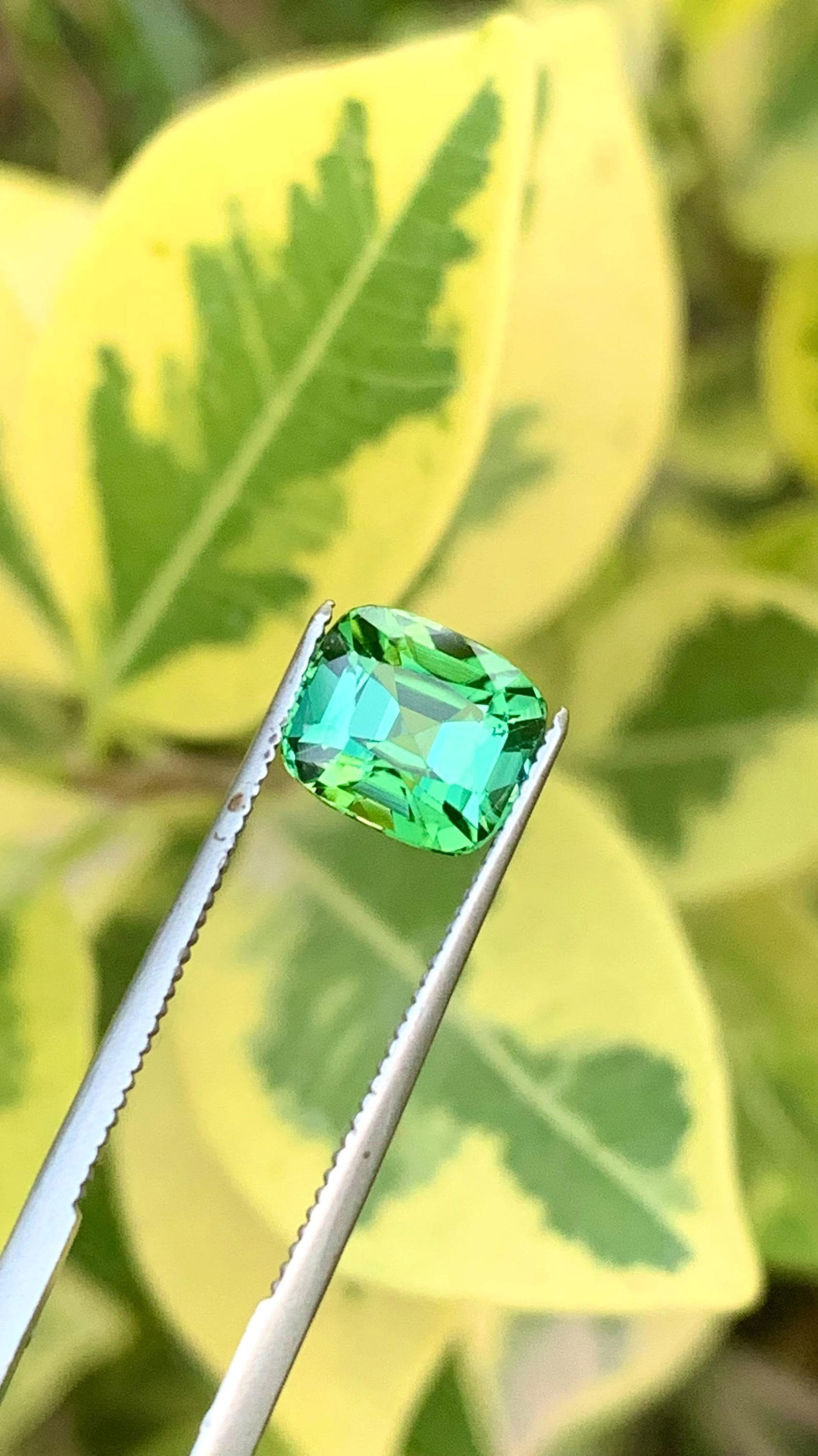Natural Mint Green Tourmaline Cushion Cut Gemstone For Ring - 2.110 Carat - 2
