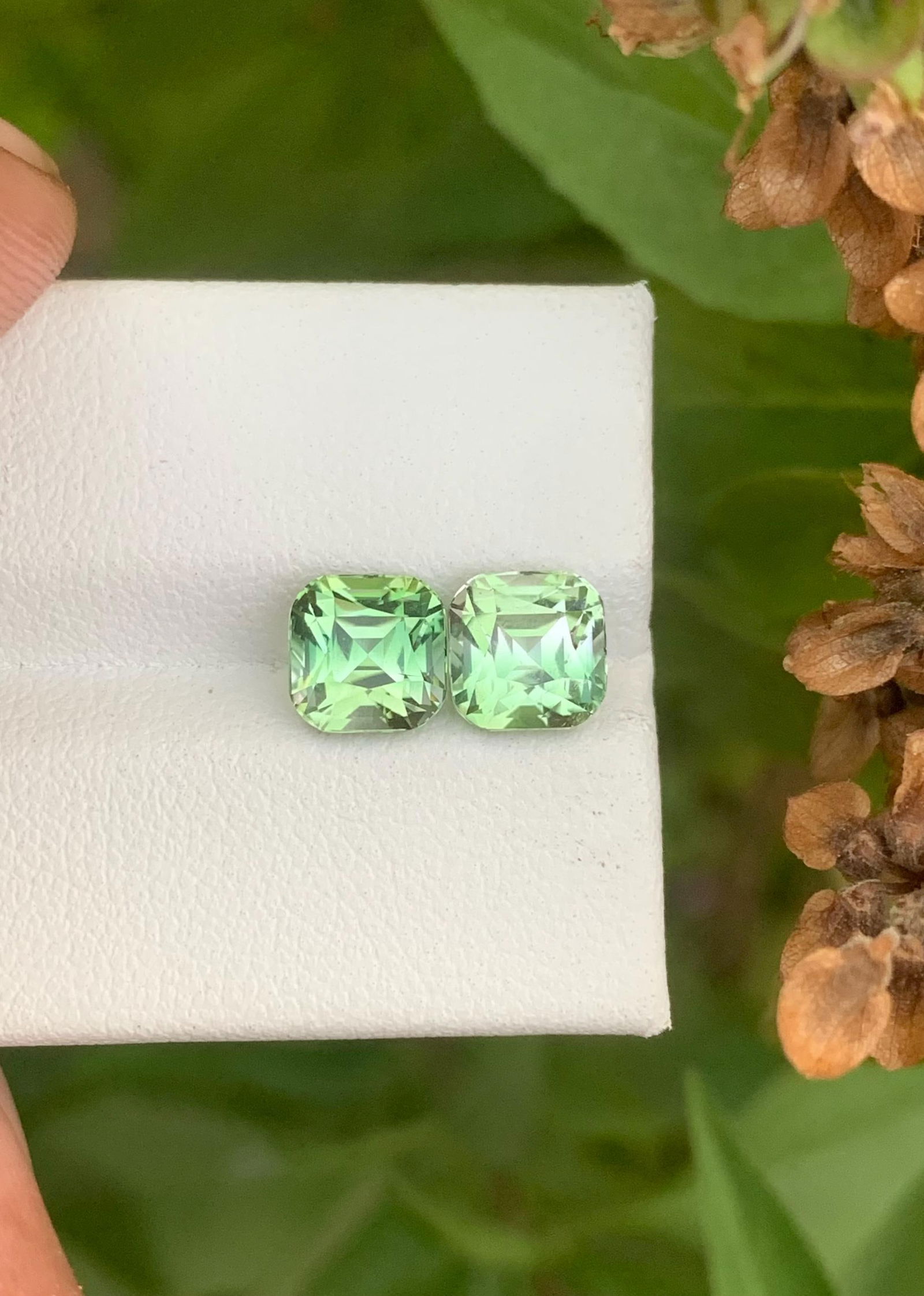 Bicolor Tourmaline Gemstone Pair: Asscher Cut, 3.75 ct - 12