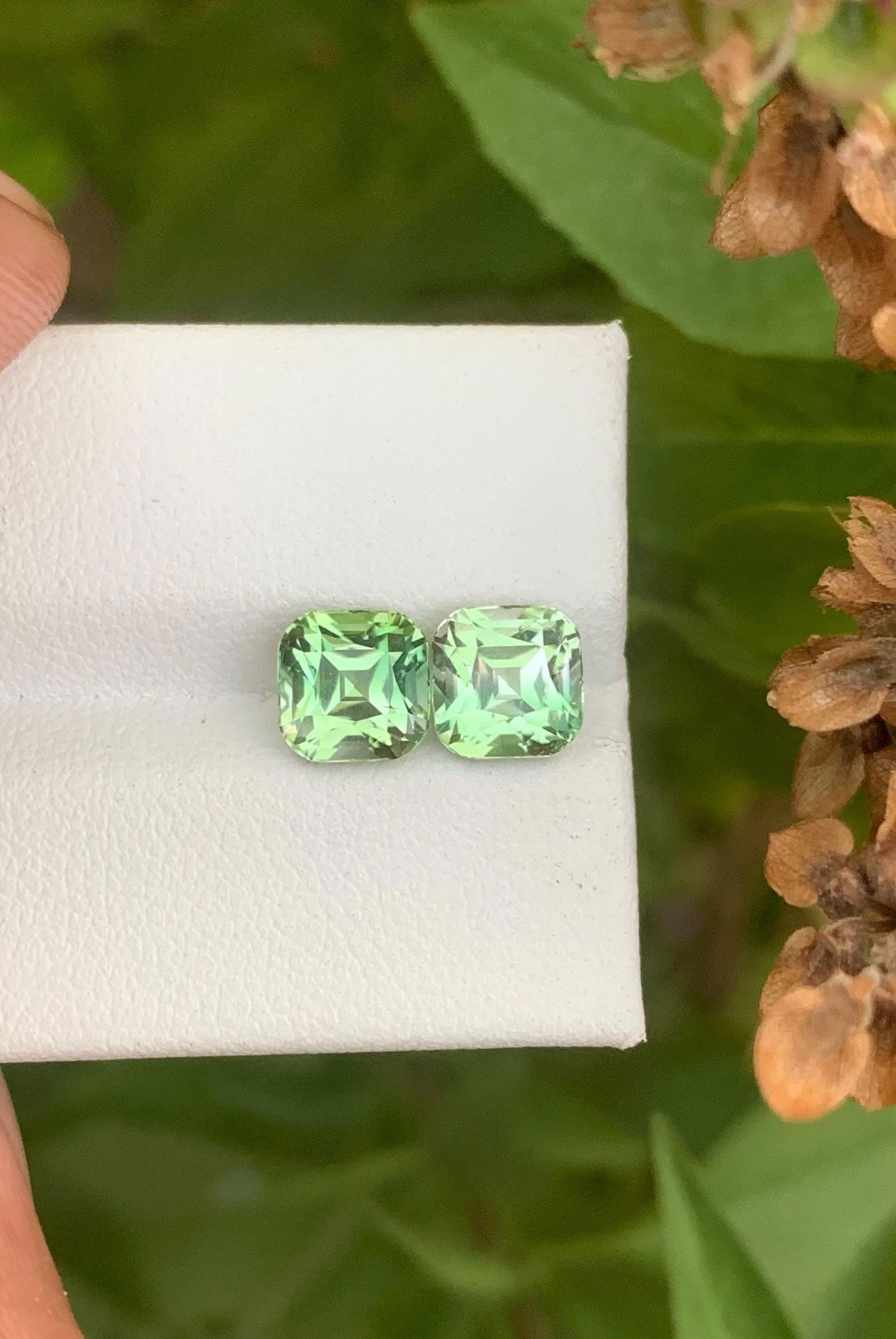 Bicolor Tourmaline Gemstone Pair: Asscher Cut, 3.75 ct: Materials: Gemstone: Tourmaline Carat weight: 3.75 Calibrated Pairs of Natural Bi colour Tourmaline Cut Stone, Asscher Cut Pair, Tourmaline For Earrings, Gems, 3.75 Ct Weight : 3.75 Carat 