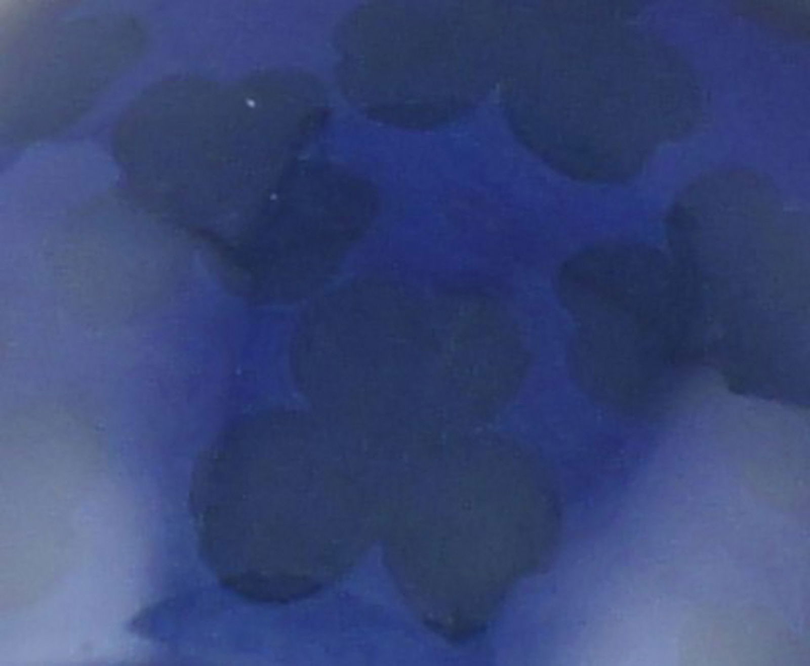 Royal Copenhagen Art Nouveau vase with silver mounting, decorated with shamrocks. - 5