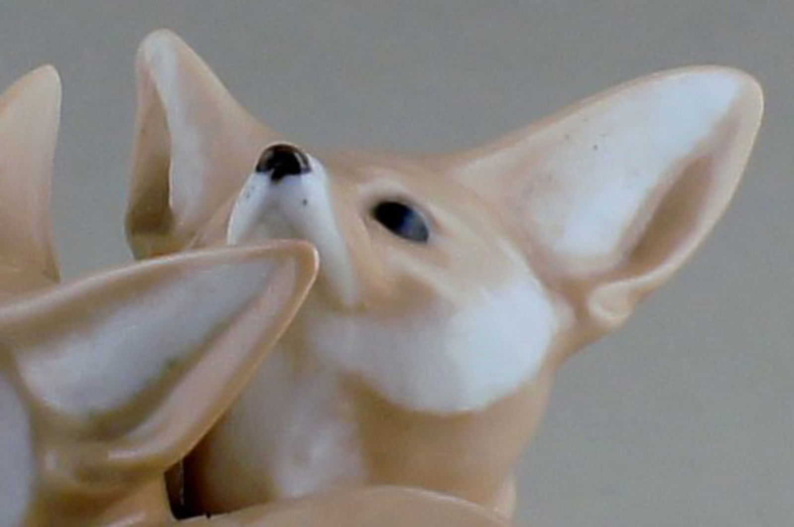 Royal Copenhagen No. 319 - Modelled by Christian Thomsen in 1901. Pair of Desert Foxes. - 4