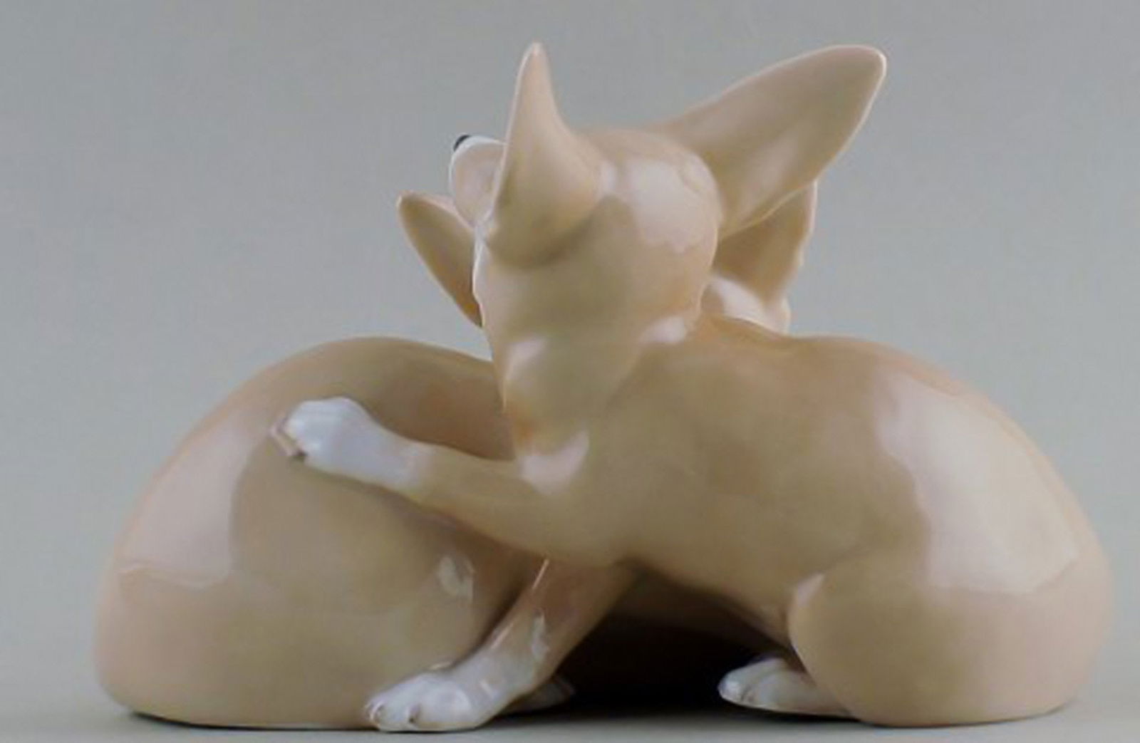 Royal Copenhagen No. 319 - Modelled by Christian Thomsen in 1901. Pair of Desert Foxes. - 5