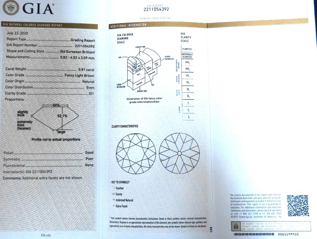 GIA Certified .81ct Natural Fancy Brown Diamonds Halo Cluster Necklace 14kt** - 6