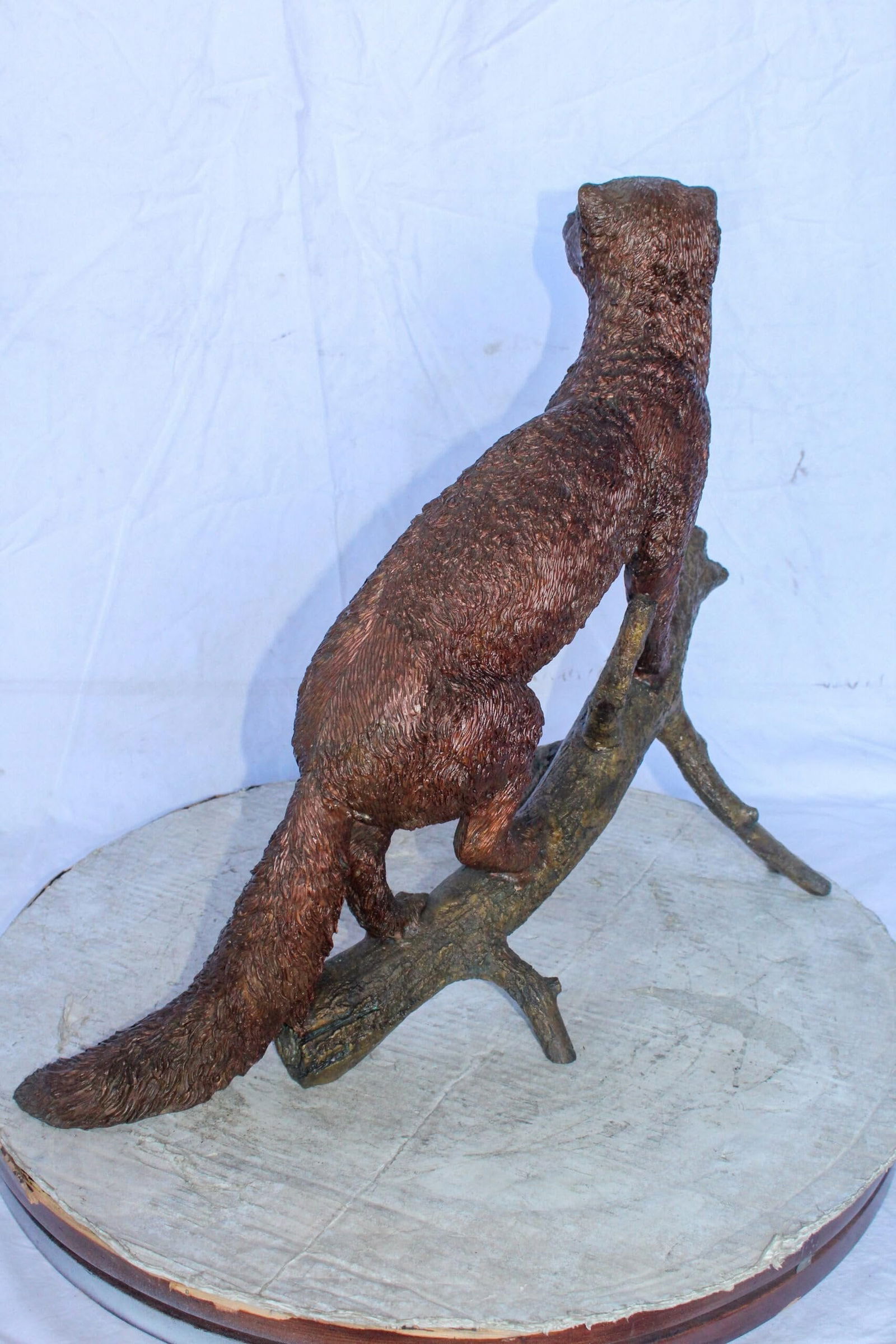 Bronze Statue of a Mongoose Climbing a Tree Branch 24" x 12" x 20"H - 10