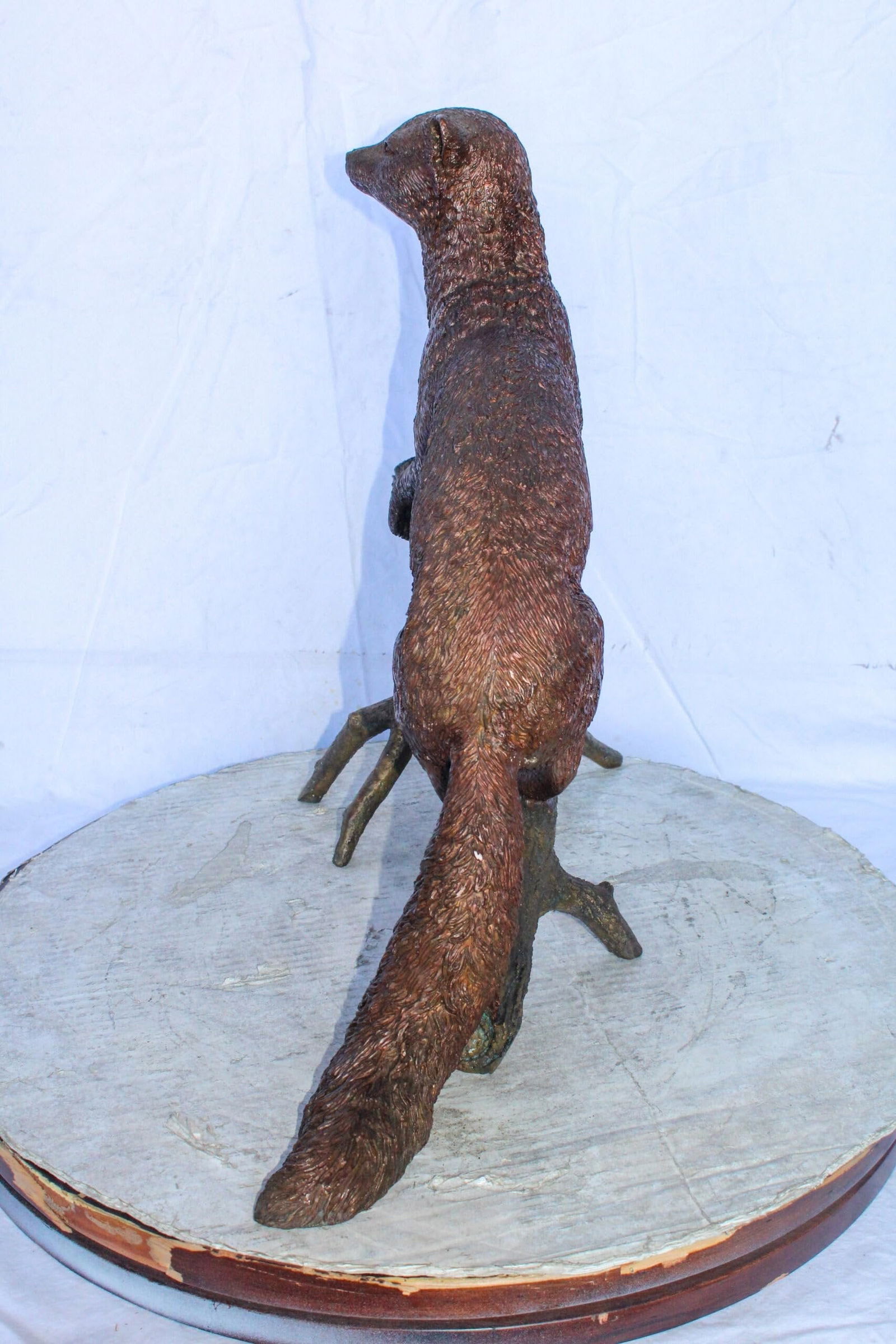 Bronze Statue of a Mongoose Climbing a Tree Branch 24" x 12" x 20"H - 11