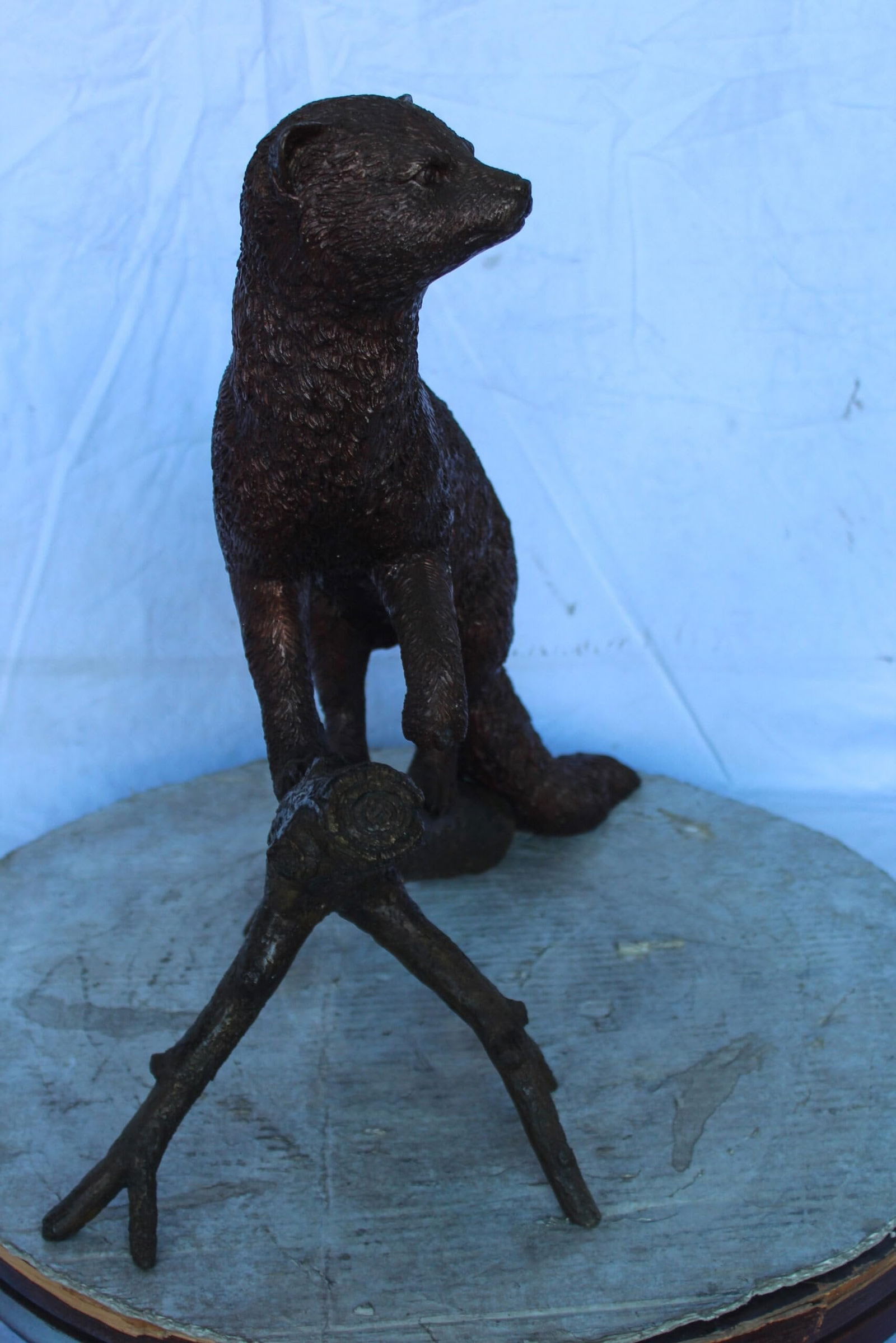 Bronze Statue of a Mongoose Climbing a Tree Branch 24" x 12" x 20"H - 7