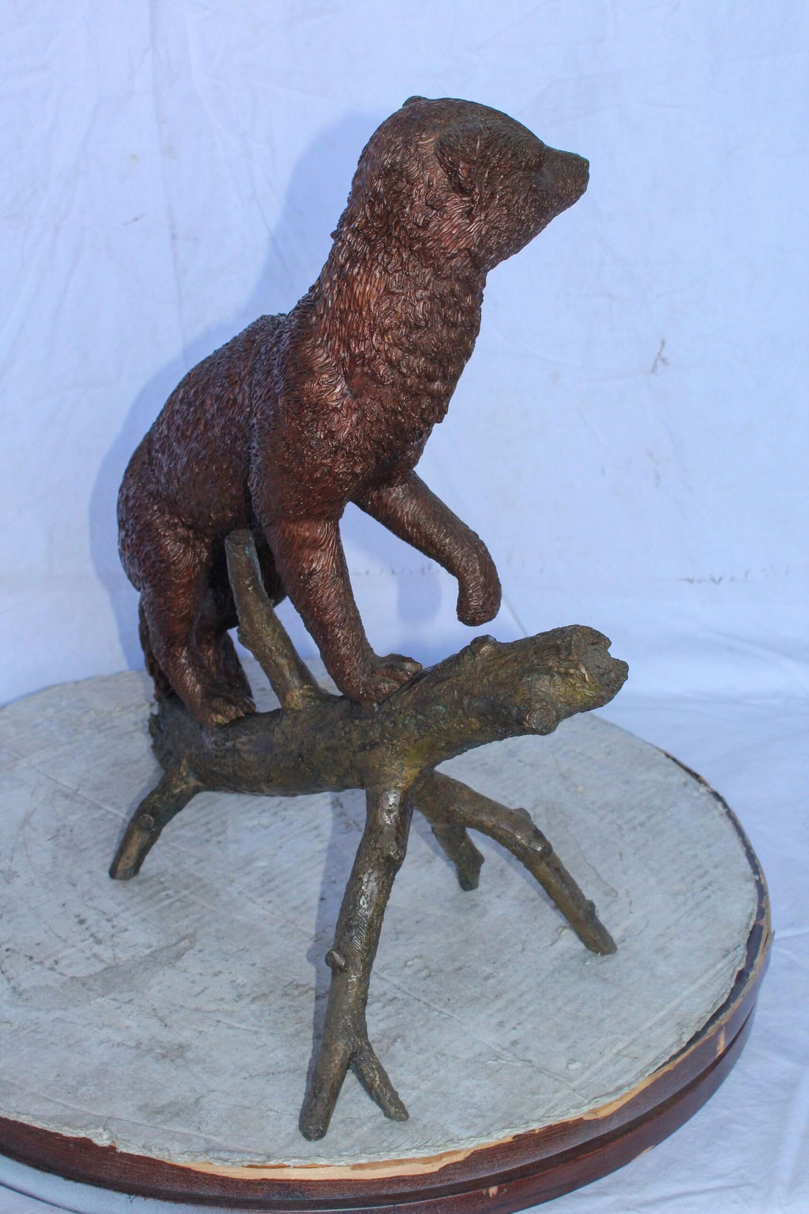 Bronze Statue of a Mongoose Climbing a Tree Branch 24" x 12" x 20"H - 8